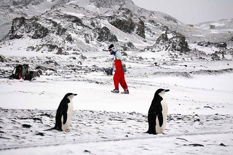 Image: The Last Marathon, Antarctica, March 6